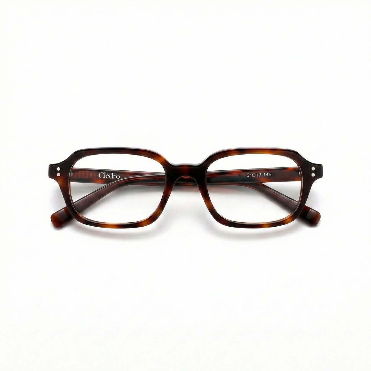 Lou Tortoise Bruin